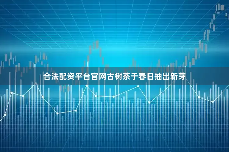 合法配资平台官网古树茶于春日抽出新芽