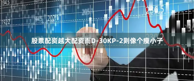 股票配资越大配资而D-30KP-2则像个瘦小子